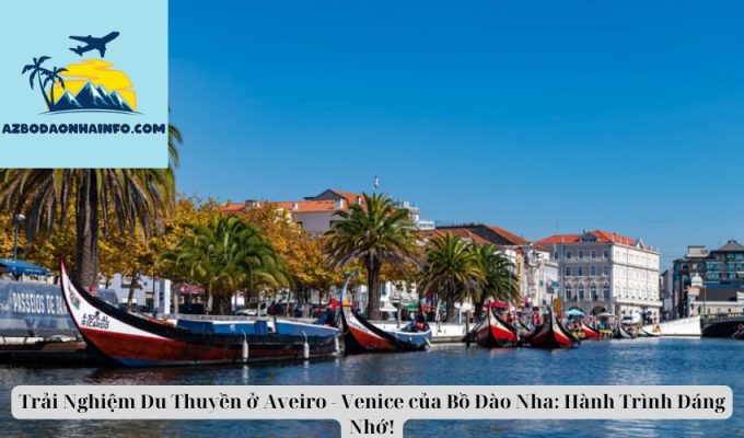 Trải Nghiệm Du Thuyền ở Aveiro - Venice của Bồ Đào Nha: Hành Trình Đáng Nhớ!